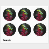 Roodogige Boomkikker Ronde Sticker (Vel)