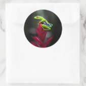 Roodogige Boomkikker Ronde Sticker (Tas)