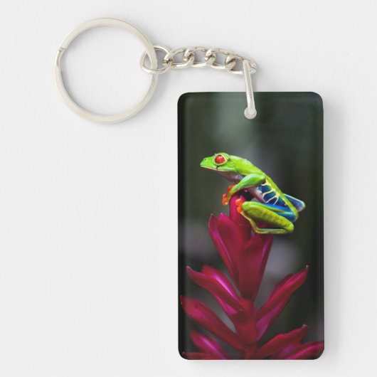 Roodogige Boomkikker Sleutelhanger (Voorkant)