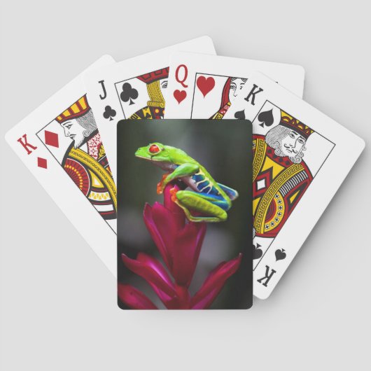 Roodogige Boomkikker Speelkaarten (Achterkant)