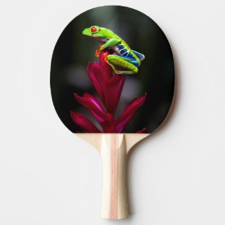 Roodogige Boomkikker Tafeltennisbatje