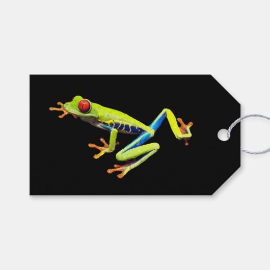 Roodogige geschilderde boomkikker cadeaulabel (Voorkant (Horizontaal))