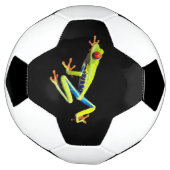 Roodogige geschilderde boomkikker voetbal (Gedraaid)
