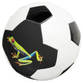 Roodogige geschilderde boomkikker voetbal (Drie kwart)