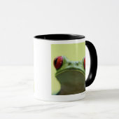 Roodoogboomkikker (Agalychnis callidryas) Mok (Voorkant rechts)