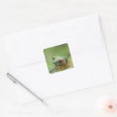 Roodoogboomkikker (Agalychnis callidryas) Vierkante Sticker (Envelop)