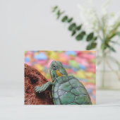 Roodoorschildpad Briefkaart (Staand voorkant)