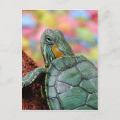 Roodoorschildpad Briefkaart (Voorkant)