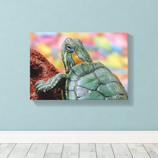 Roodoorschildpad Canvas Afdruk (Insitu (Houten vloer))