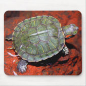 Roodoorschildpad Muismat (Voorkant)