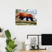 Roodpanda loopt op een tak poster (Thuiskantoor)