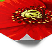 Roodpapaver Memorial Day Poster (Hoek)
