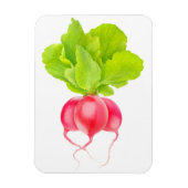 Roodradijzen Magneet (Verticaal)