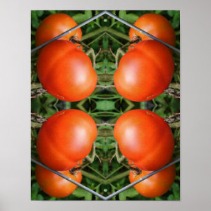 Roodrijpe tuintomaten op Abstracte wijn Poster