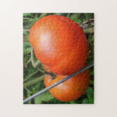 Roodrijpe tuintomaten op de wijnstok-Natuur Legpuzzel (Verticaal)