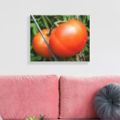 Roodrijpe tuintomaten op wijn canvas afdruk (Insitu (Woonkamer))