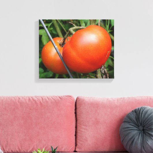 Roodrijpe tuintomaten op wijn canvas afdruk (Insitu (Woonkamer))
