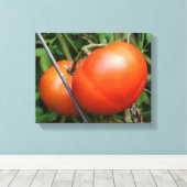 Roodrijpe tuintomaten op wijn canvas afdruk (Insitu (Houten vloer))