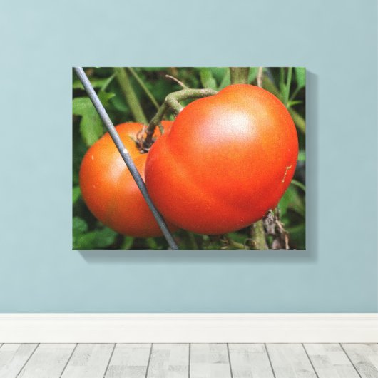 Roodrijpe tuintomaten op wijn canvas afdruk (Insitu (Houten vloer))