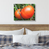 Roodrijpe tuintomaten op wijn canvas afdruk (Insitu (Slaapkamer))