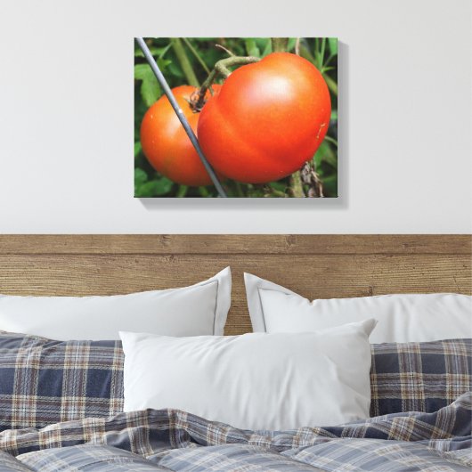 Roodrijpe tuintomaten op wijn canvas afdruk (Insitu (Slaapkamer))