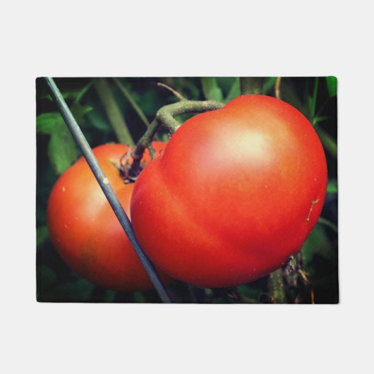 Roodrijpe tuintomaten op wijn deurmat (Voorkant)