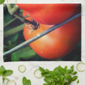 Roodrijpe tuintomaten op wijn theedoek (Gevouwen)