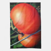 Roodrijpe tuintomaten op wijn theedoek (Verticaal)