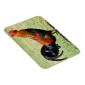 Roodrode oerwouden Kauai Hawaii Magneet (Rechterzijde)