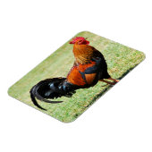 Roodrode oerwouden Kauai Hawaii Magneet (Linkerzijde)