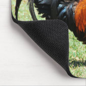 Roodrode oerwouden Kauai Hawaii Muismat (Hoek)