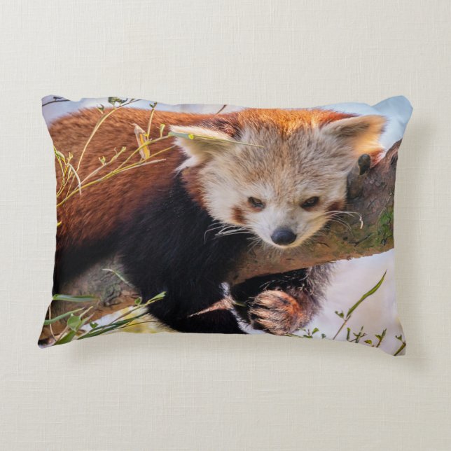Roodrode panda accent kussen (Achterkant)