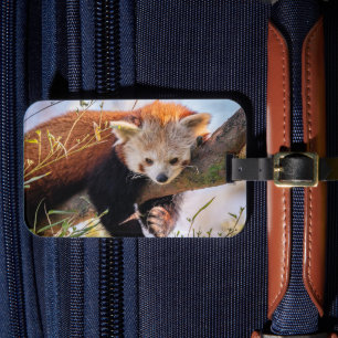 Roodrode panda bagagelabel