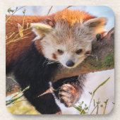 Roodrode panda bier onderzetter (Voorkant)