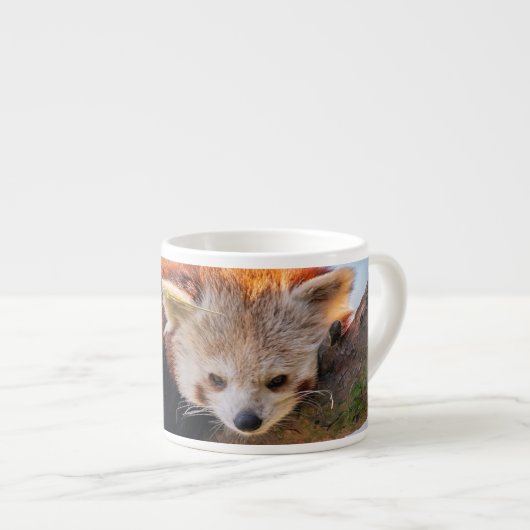 Roodrode panda espresso kop (Voorkant rechts)