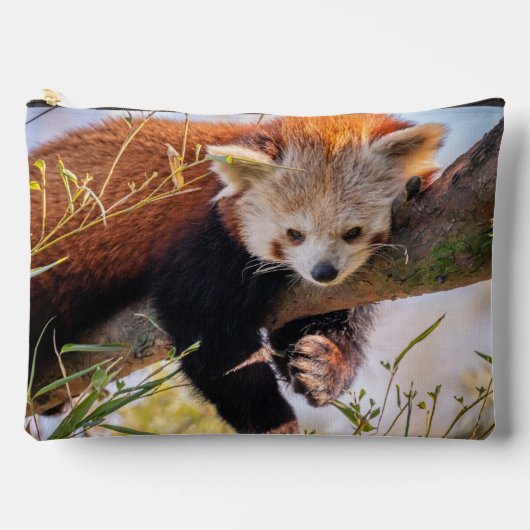 Roodrode panda etui (Voorkant)