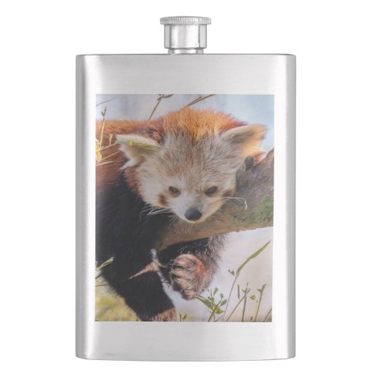 Roodrode panda flacon (Voorkant)