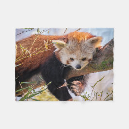 Roodrode panda fleece deken