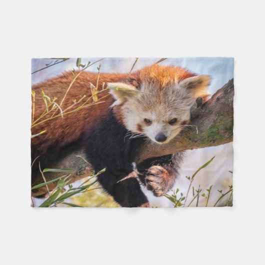 Roodrode panda fleece deken (Voorkant (Horizontaal))