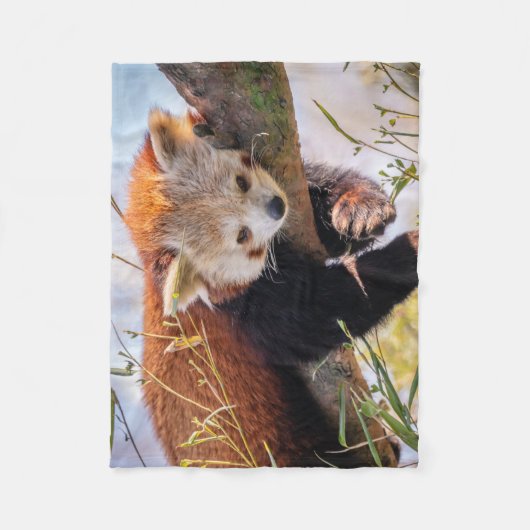 Roodrode panda fleece deken (Voorkant)