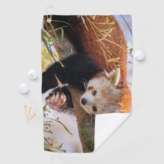 Roodrode panda golfhanddoek (Insitu)