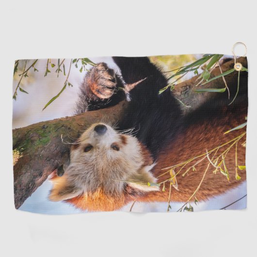 Roodrode panda golfhanddoek (Horizontaal)