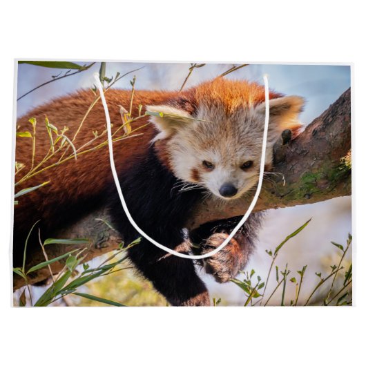 Roodrode panda groot cadeauzakje (Achterkant)