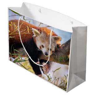 Roodrode panda groot cadeauzakje
