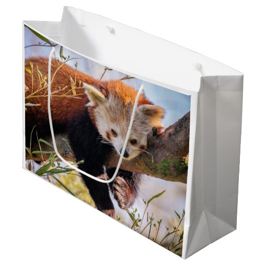 Roodrode panda groot cadeauzakje (Voorkant Gekanteld)