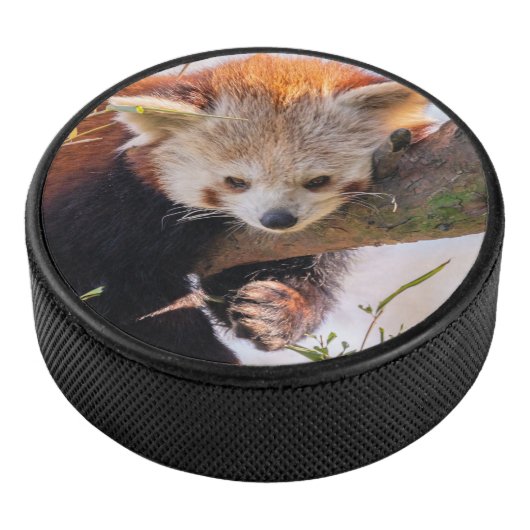 Roodrode panda hockey puck (3/4)