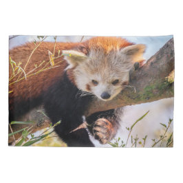 Roodrode panda kussensloop