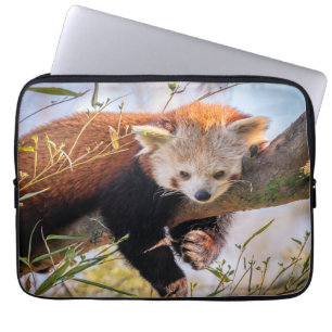 Roodrode panda laptop sleeve