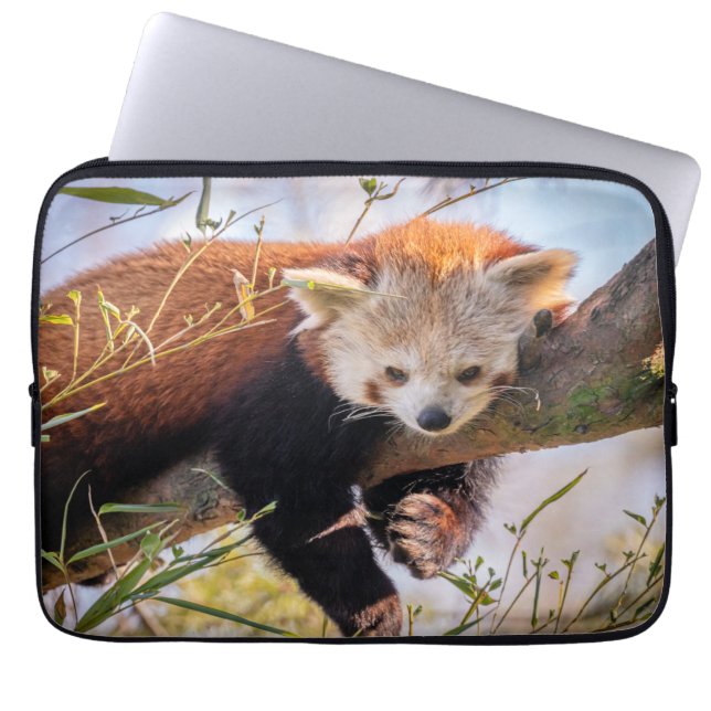 Roodrode panda laptop sleeve (Voorkant)