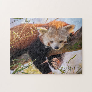 Roodrode panda legpuzzel